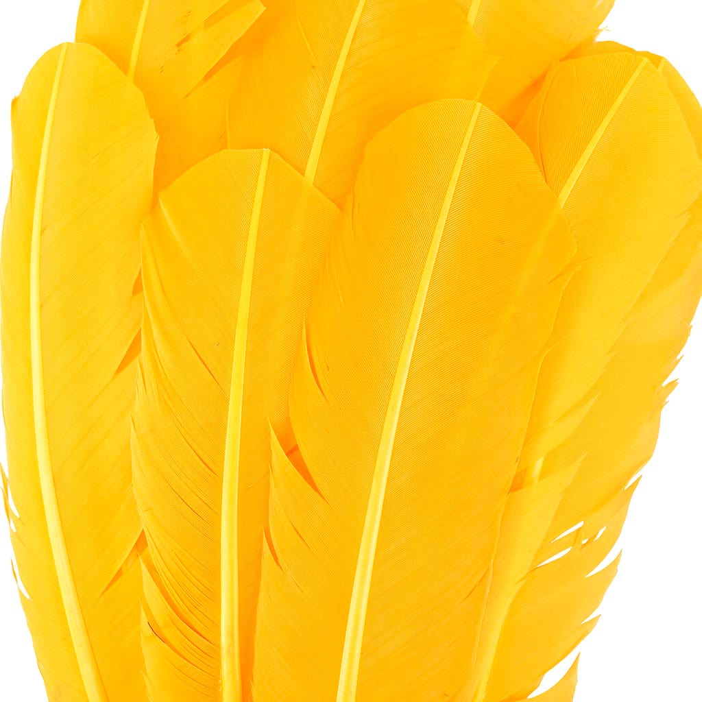 Turkey Quills Selected - Gold