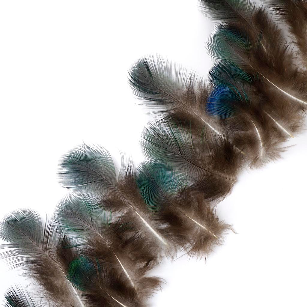 Natural Green Peacock Feather Plumage [{WEDDING CENTERPIECES}] - Natural