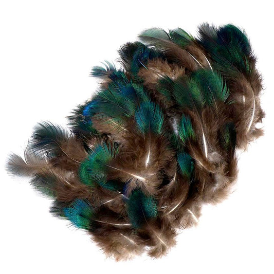Natural Green Peacock Feather Plumage [{WEDDING CENTERPIECES}] - Natural