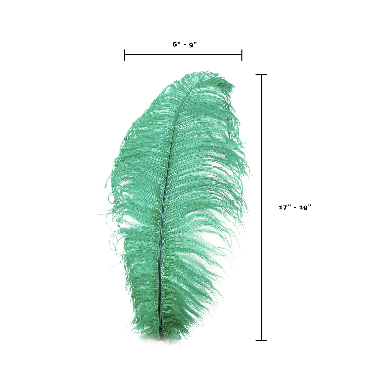 Ostrich Feather Drabs - 17-19" 12pcs - Emerald