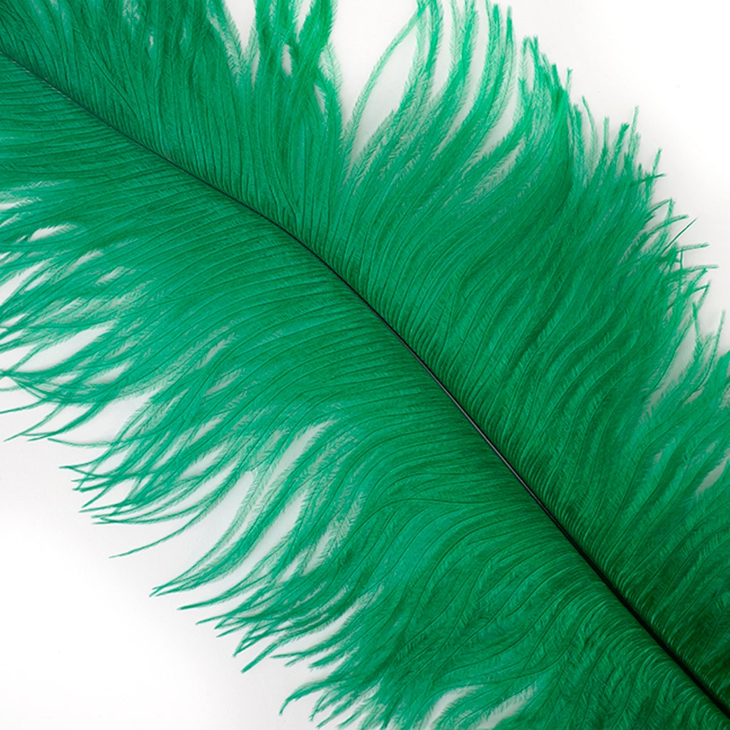 Zucker Feather - Ostrich Feathers-Spads Selected - Emerald