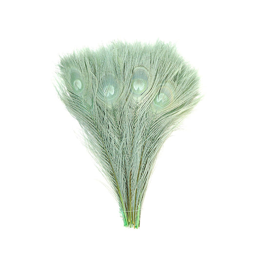 Peacock Tail Eyes Bleached and Dyed - 8-15” - 100 pc - Celedon