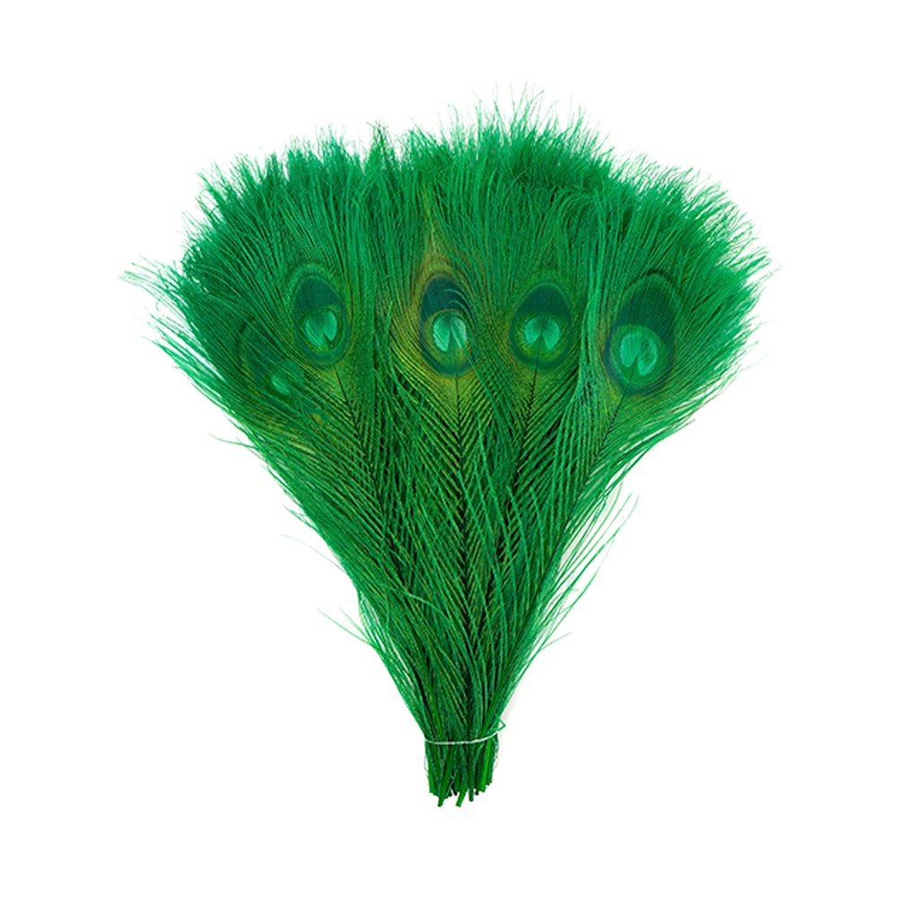 Peacock Tail Eyes Bleached and Dyed - 8-15” - 100 pc - Kelly