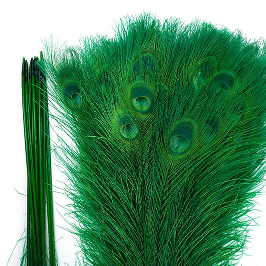 Peacock Tail Eyes Bleached Dyed - Kelly