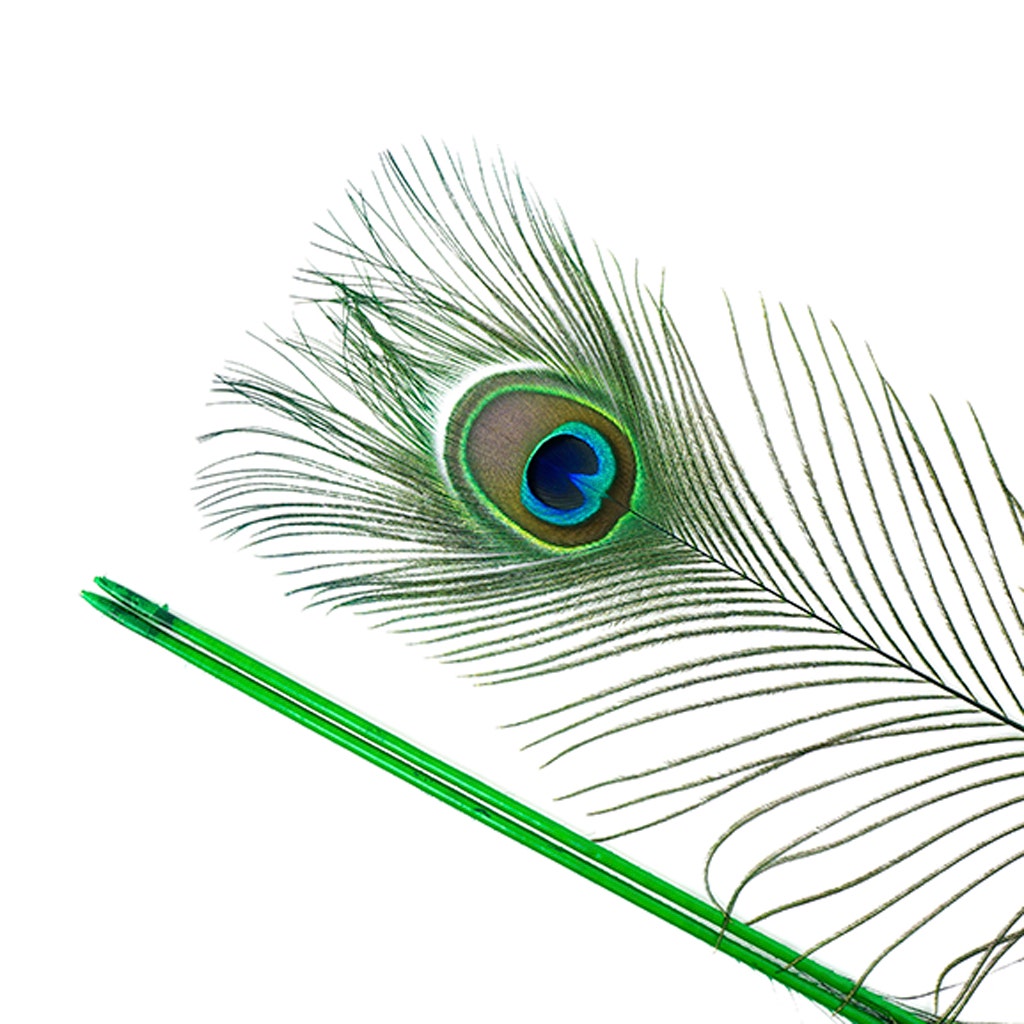 Peacock Feather Eyes Stem Dyed - 25-40 Inch - 10 PCS - Kelly