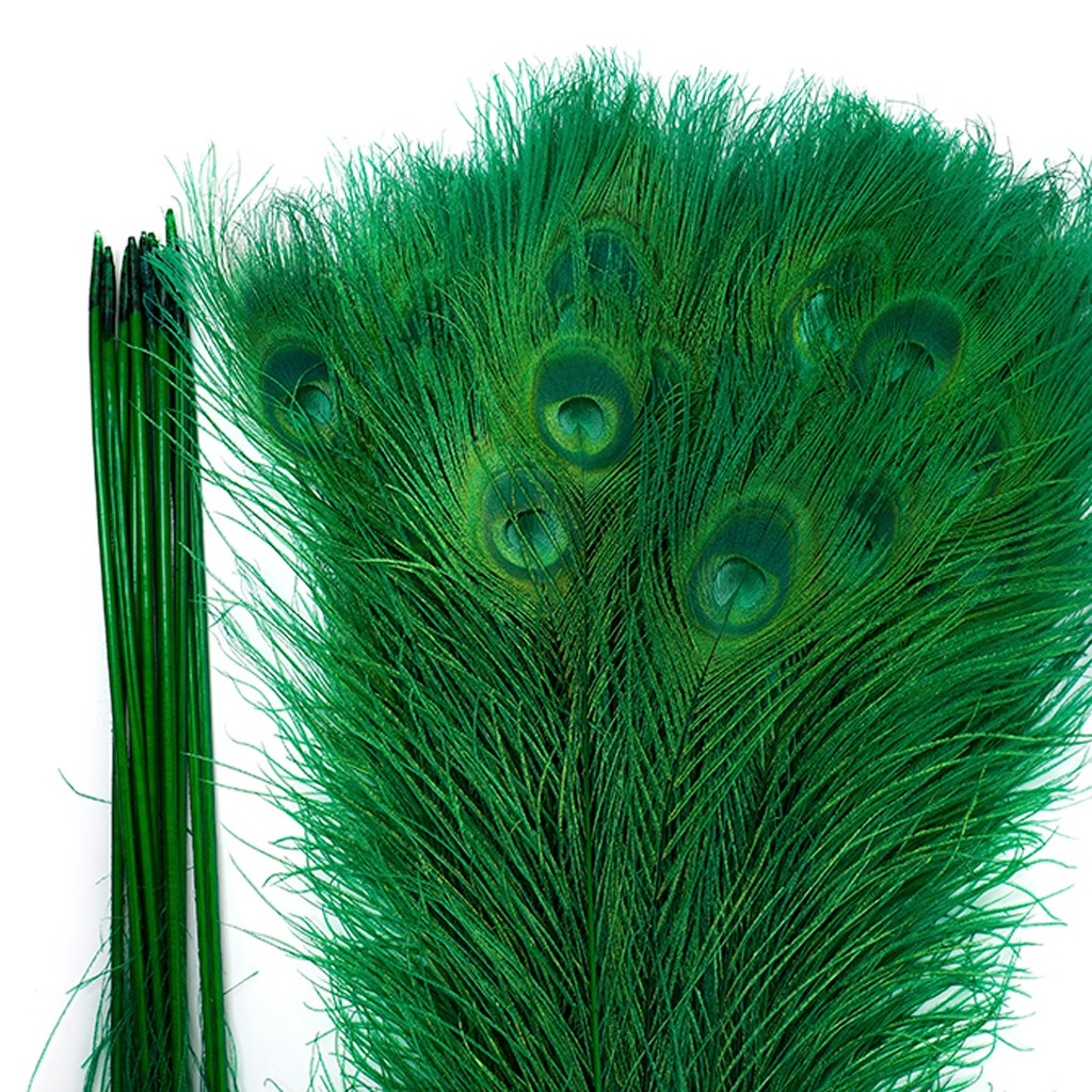 Peacock Eyes Bleached/Dyed - Kelly 30-40" - 10 PC