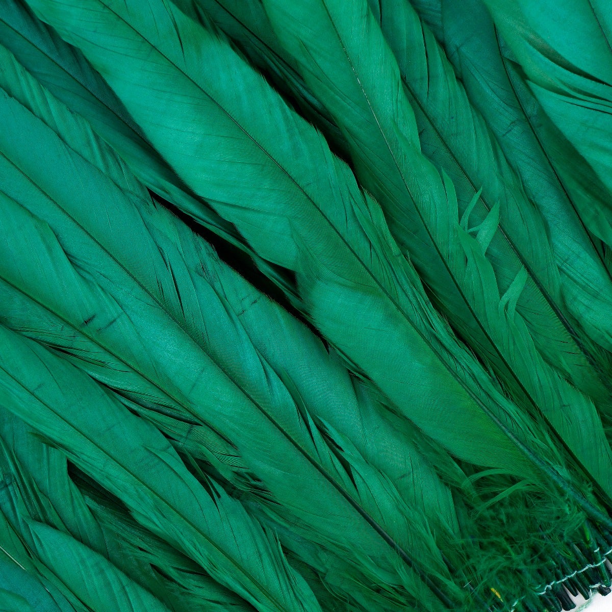 ROOSTER COQUE TAILS FEATHERS BLEACH DYED 7-10” - 1/2 Yard ( 18" ) - Kelly