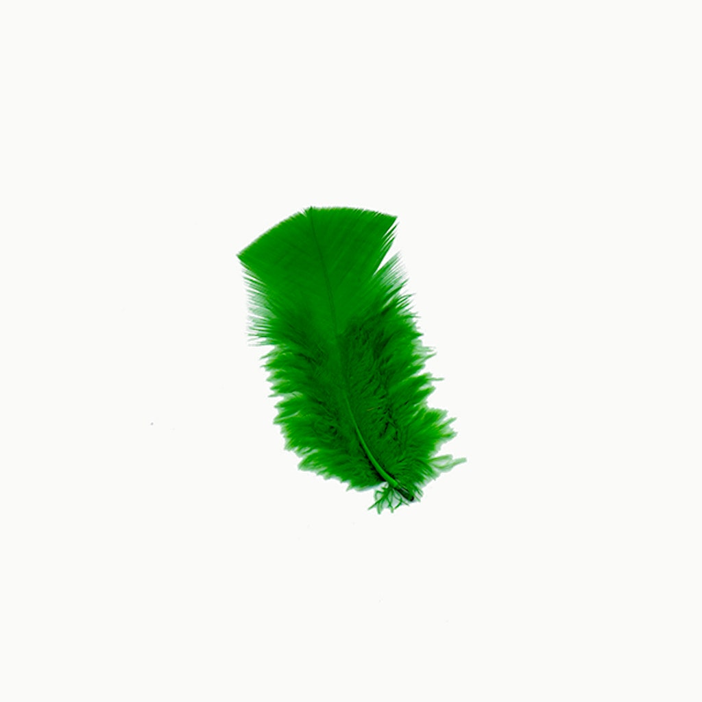 Loose Turkey Plumage Feathers - Kelly