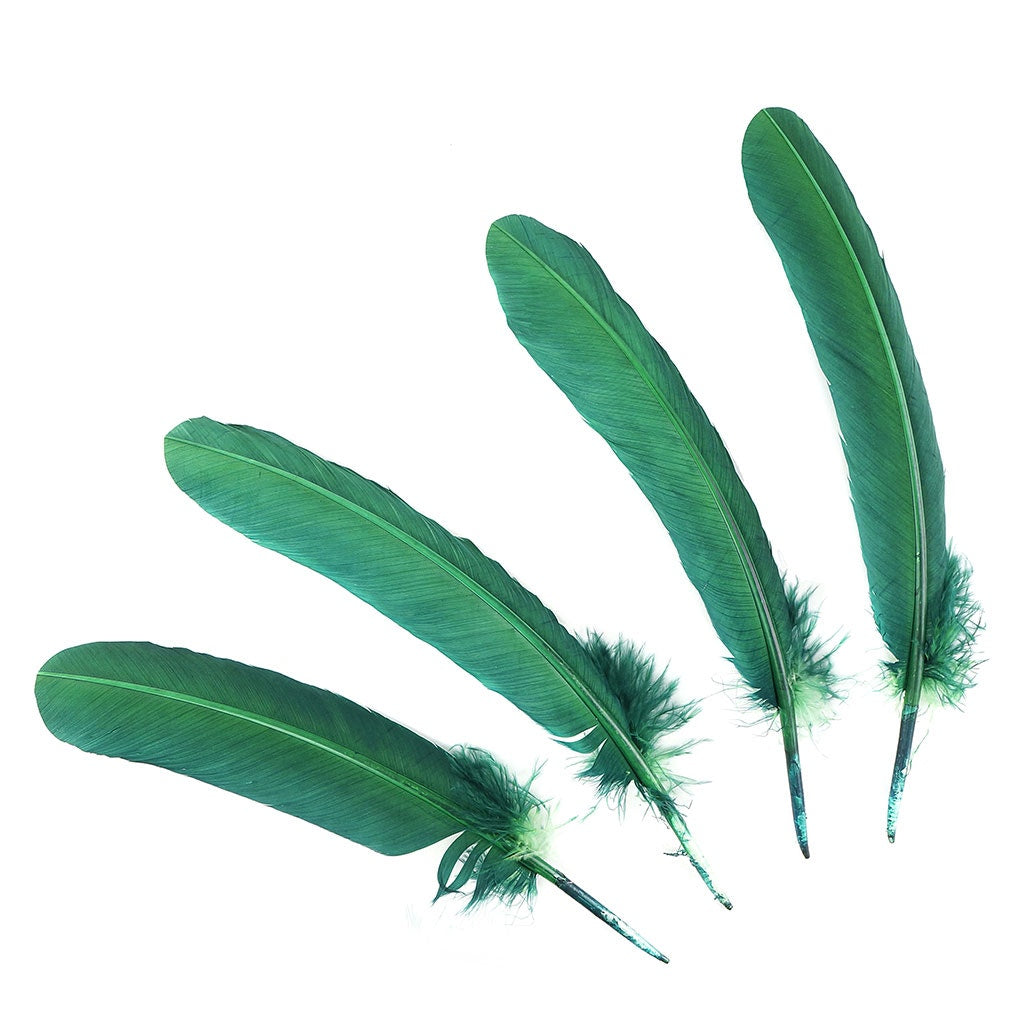 Turkey Quills Dyed Feathers - Hunter Green