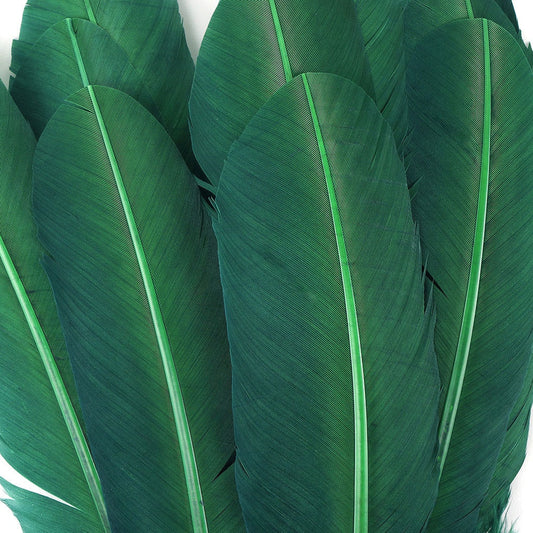 Turkey Quills Dyed Feathers - Hunter Green