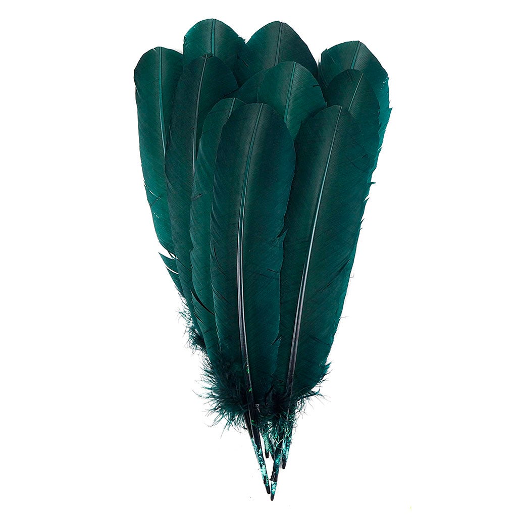 Turkey Quills Selected - Hunter Green