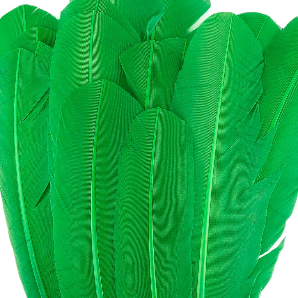 Turkey Quills Selected - Kelly