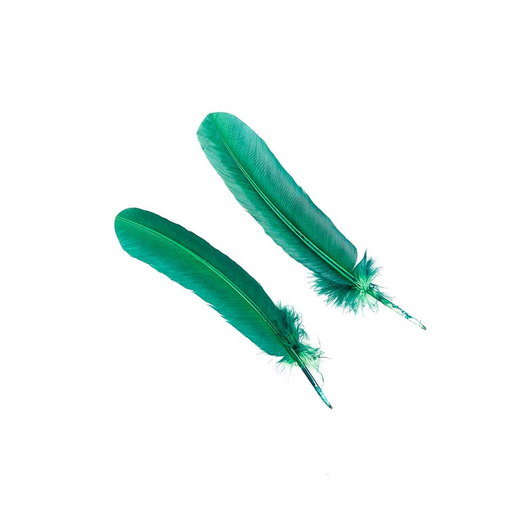 https://featherplace.com/cdn/shop/products/green-turkey-feather-quill-tqpll--hg-alt3.jpg?v=1679676647&width=1445