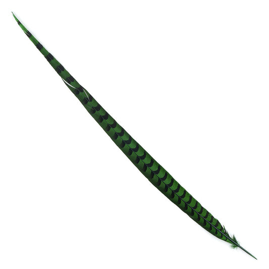 Venery Pheasant Tails - Dyed - 30 - 40" 1pc Kelly Green
