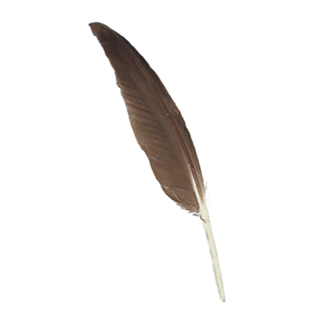 Duck Pointer Feathers - 5" - 9" - Natural Grey - White