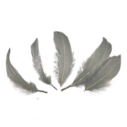 Bulk Goose Pallet Feathers - 6-8 Inch - 1/4 LB - Silver