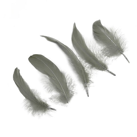 Goose Pallet Feathers 6-8" 12PC/PKG - Silver