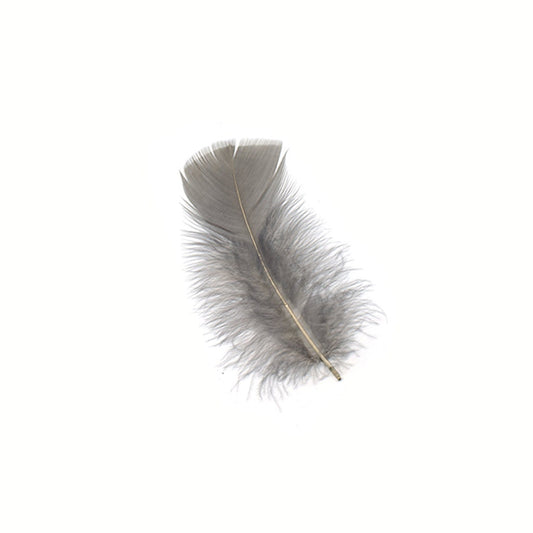 Grey Zebra Pheasant Feathers 30 inches up by the Piece – Schuman Feathers