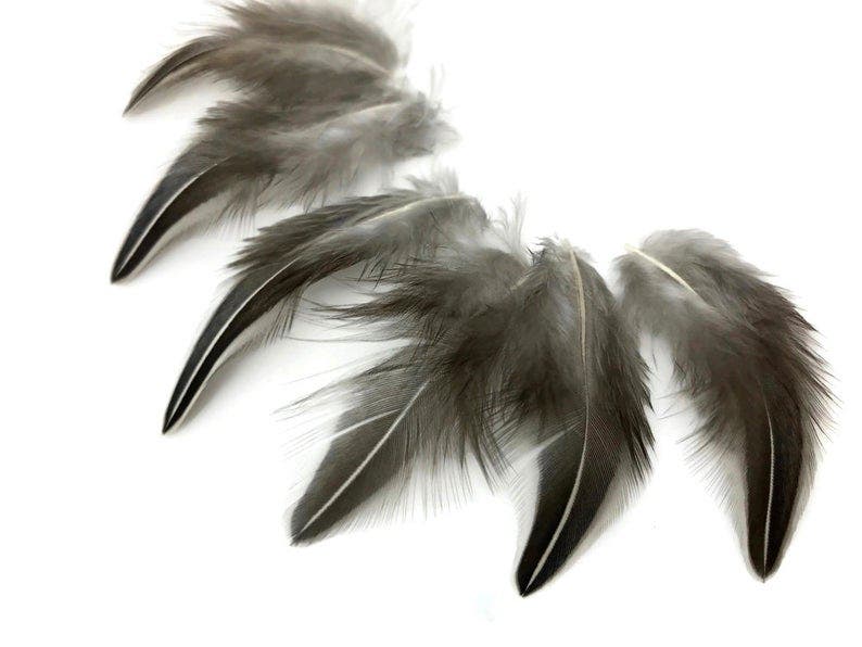 Jungle Cock Natural Black and White Plum Loose 1-3" 10 PC/PKG