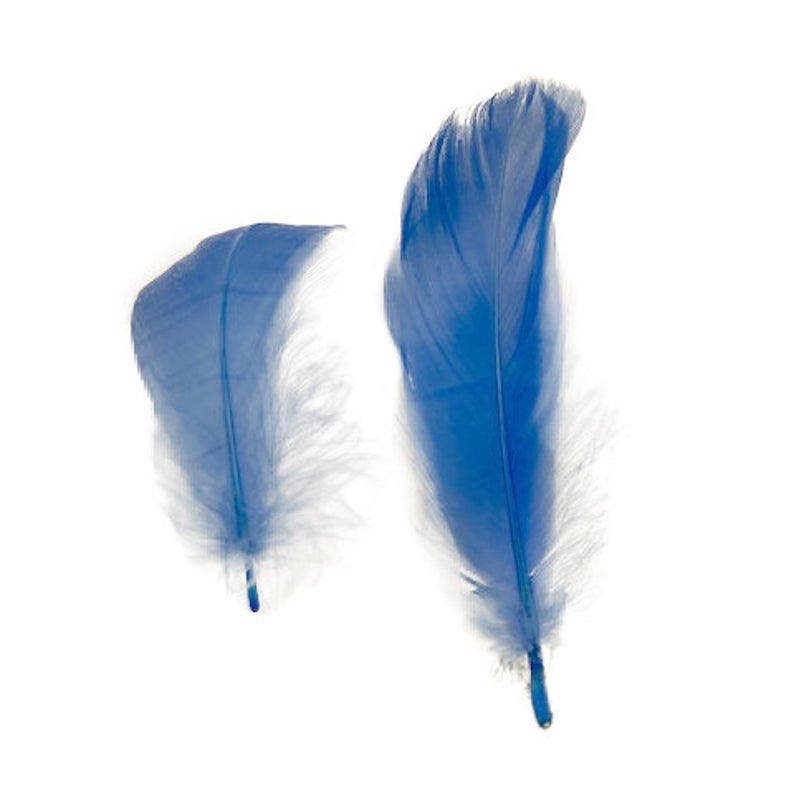 Goose Nagoire Loose Feathers 4-6" - Sky