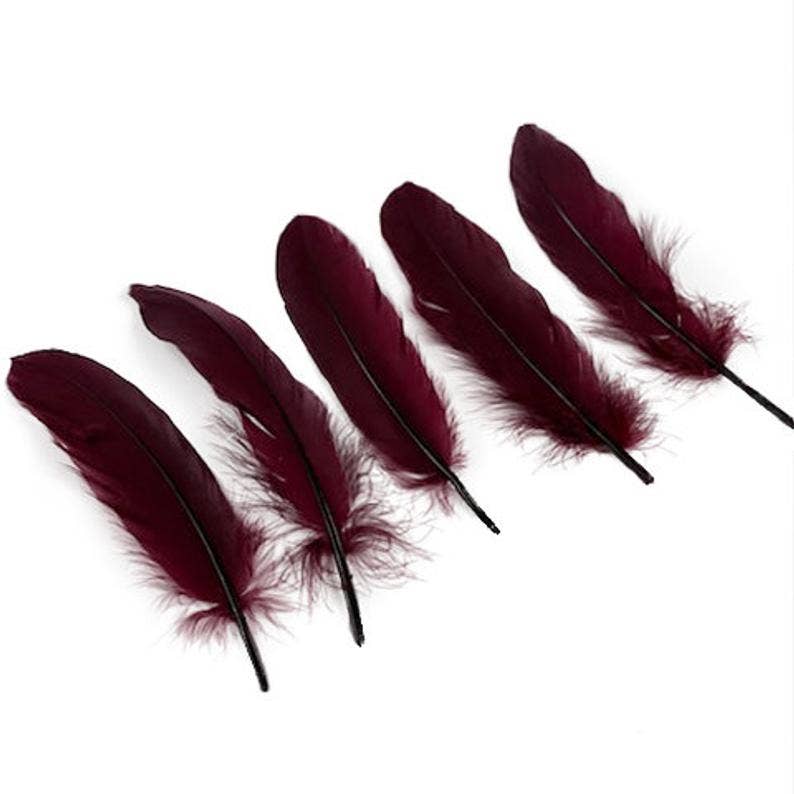 Goose Pallets Loose Feathers 6-8 Inch 1/4 LB - Burgundy