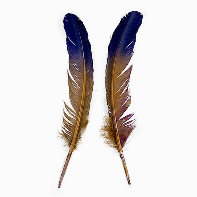 Bulk Two Tone Ombre Tipped Turkey Round Feathers Left Wing - 10-12” - 1/4 lb - Navy Camel