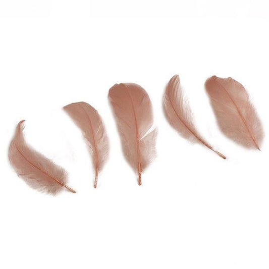Goose Nagoire Loose Feathers 4-6" - Champagne