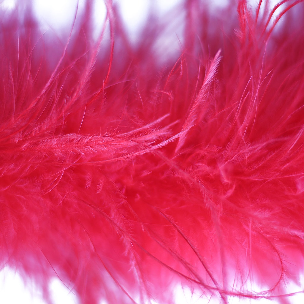 Red 2 Ply Ostrich Feather Boa