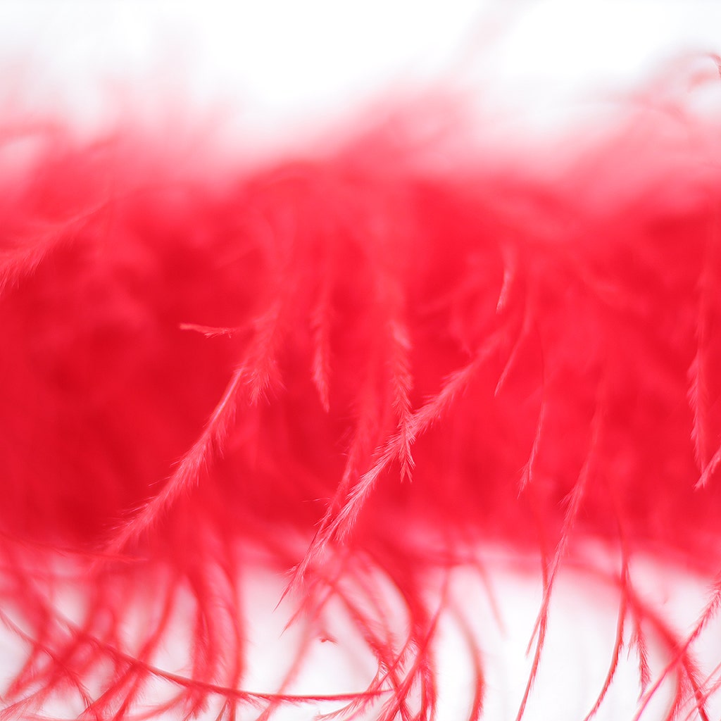 Red 2 Ply Ostrich Feather Boa