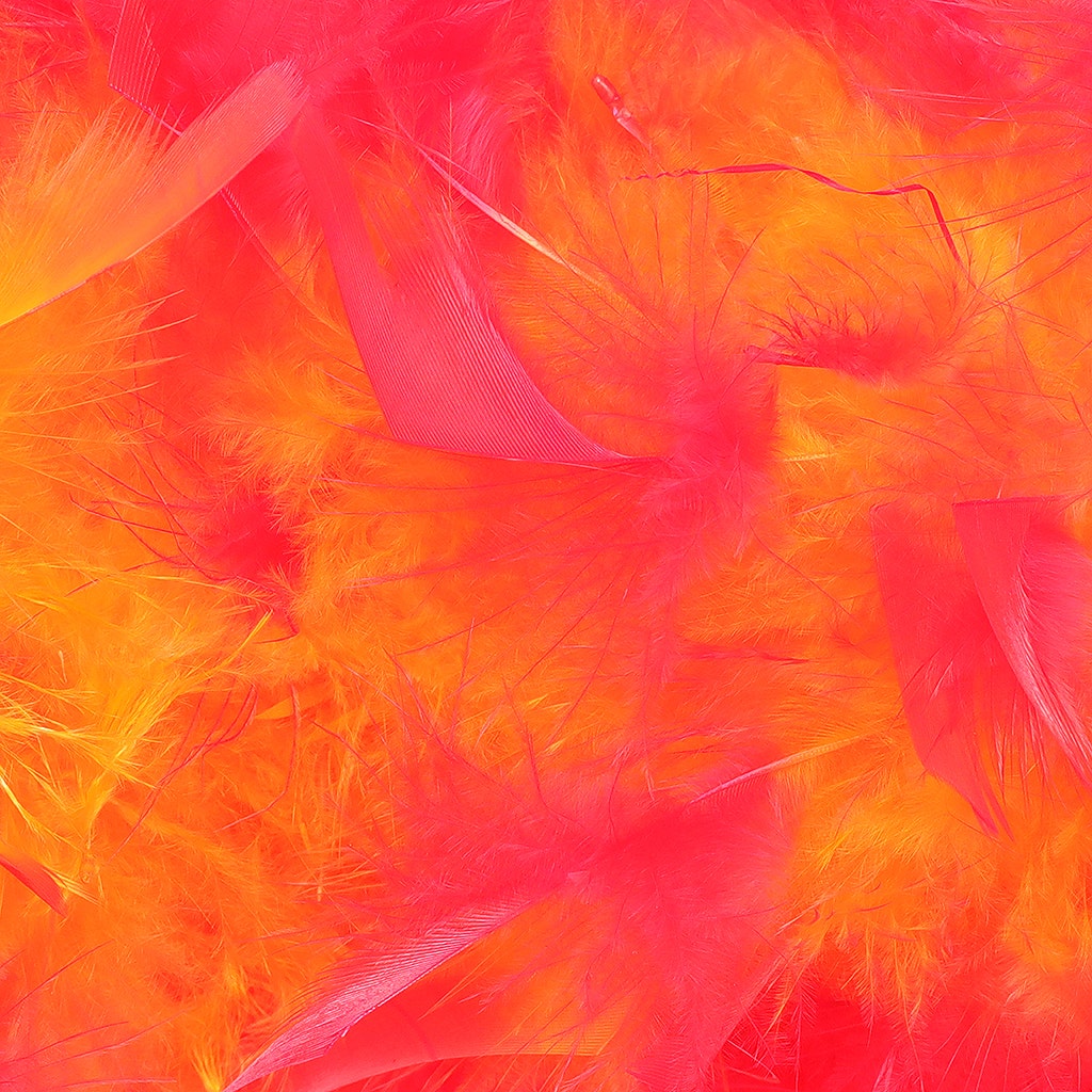 Tipped Chandelle Feather Boa - Heavyweight - Orange/Shocking Pink