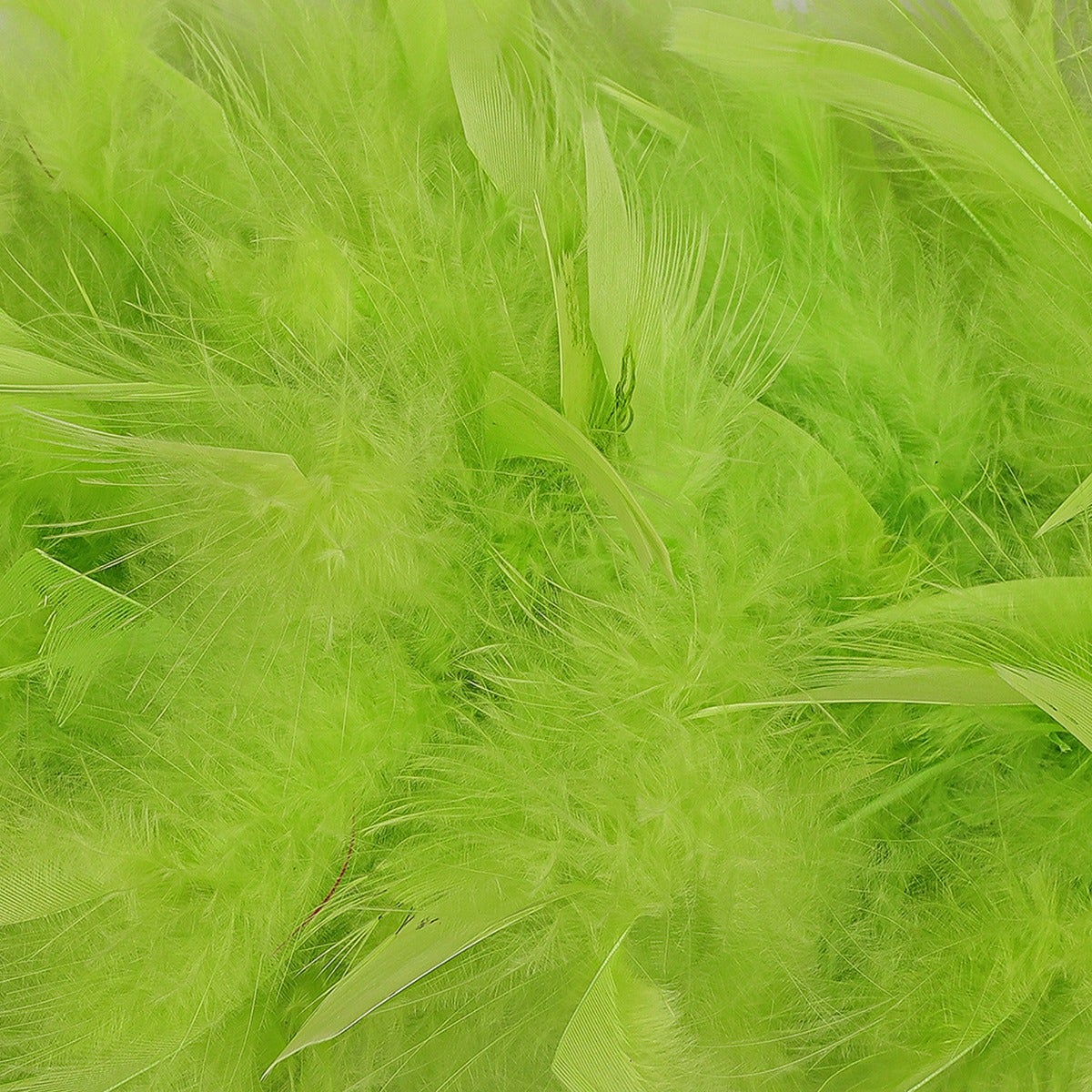 Chandelle Feather Boa - Heavyweight  - Lime