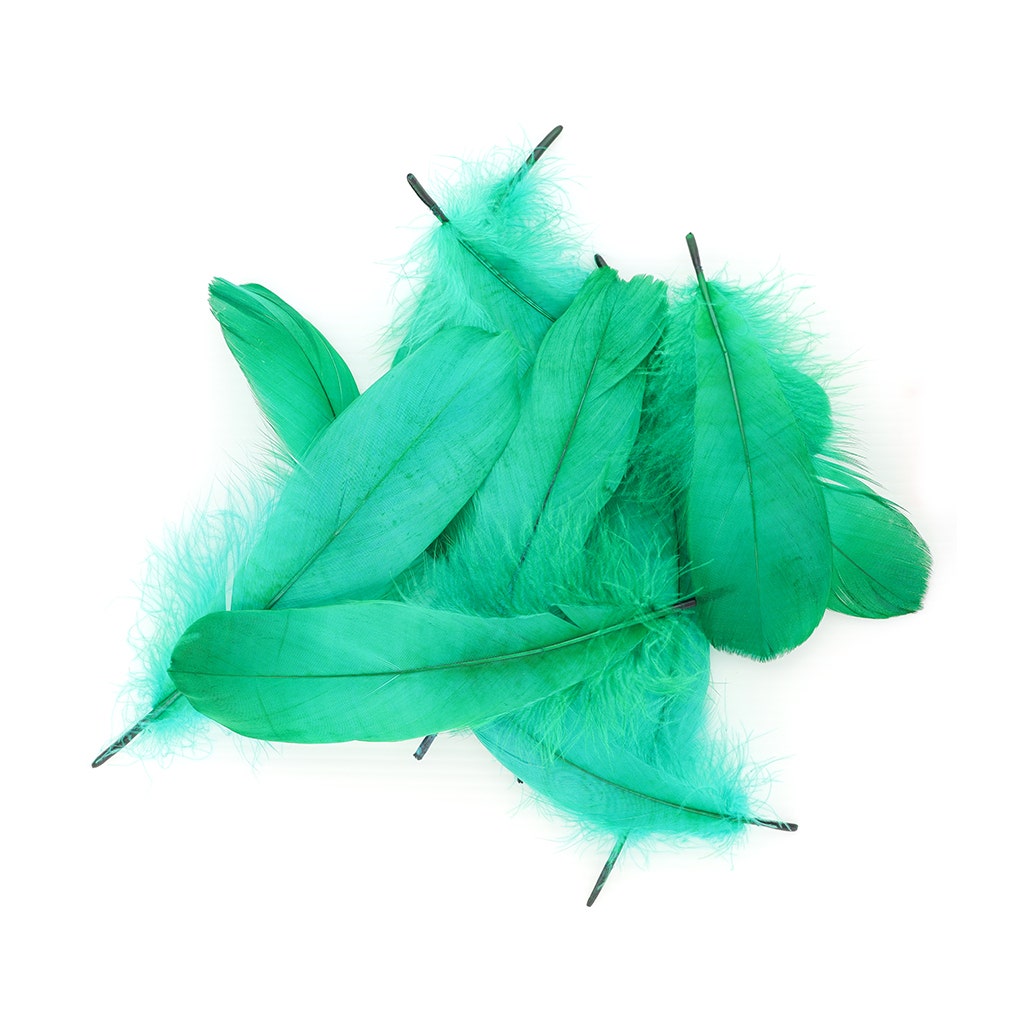 Goose Pallet Feathers 6-8" - 12 pc - Emerald