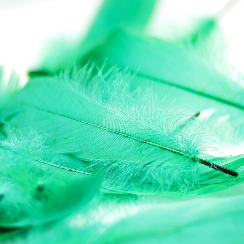 Goose Pallet Feathers 6-8" - 12 pc - Emerald