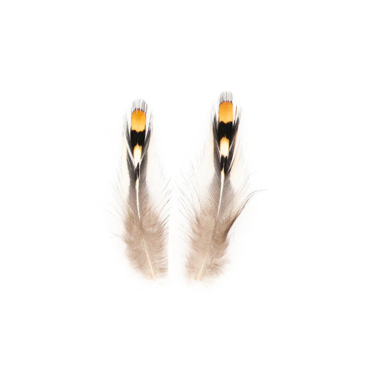 Jungle Cock Natural Gold Eye Loose .25-1.25" 20 pc/pkg