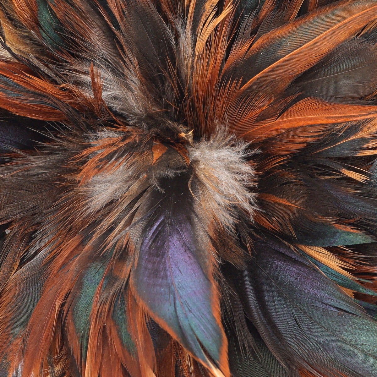 Natural Rooster Feathers, 2" strip of 4-6” Rooster Strung Craft Feathers - Natural