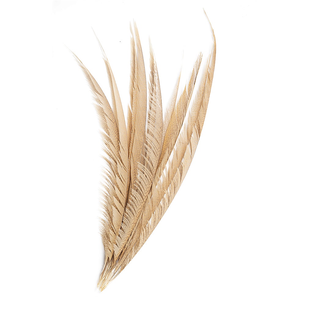 Golden Pheasant Center Tails Dyed Beige