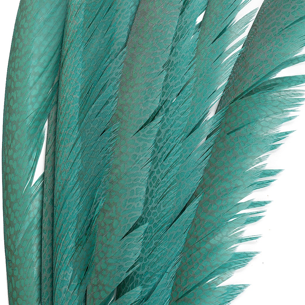 Golden Pheasant Center Tails Dyed Silver Dunn Blue