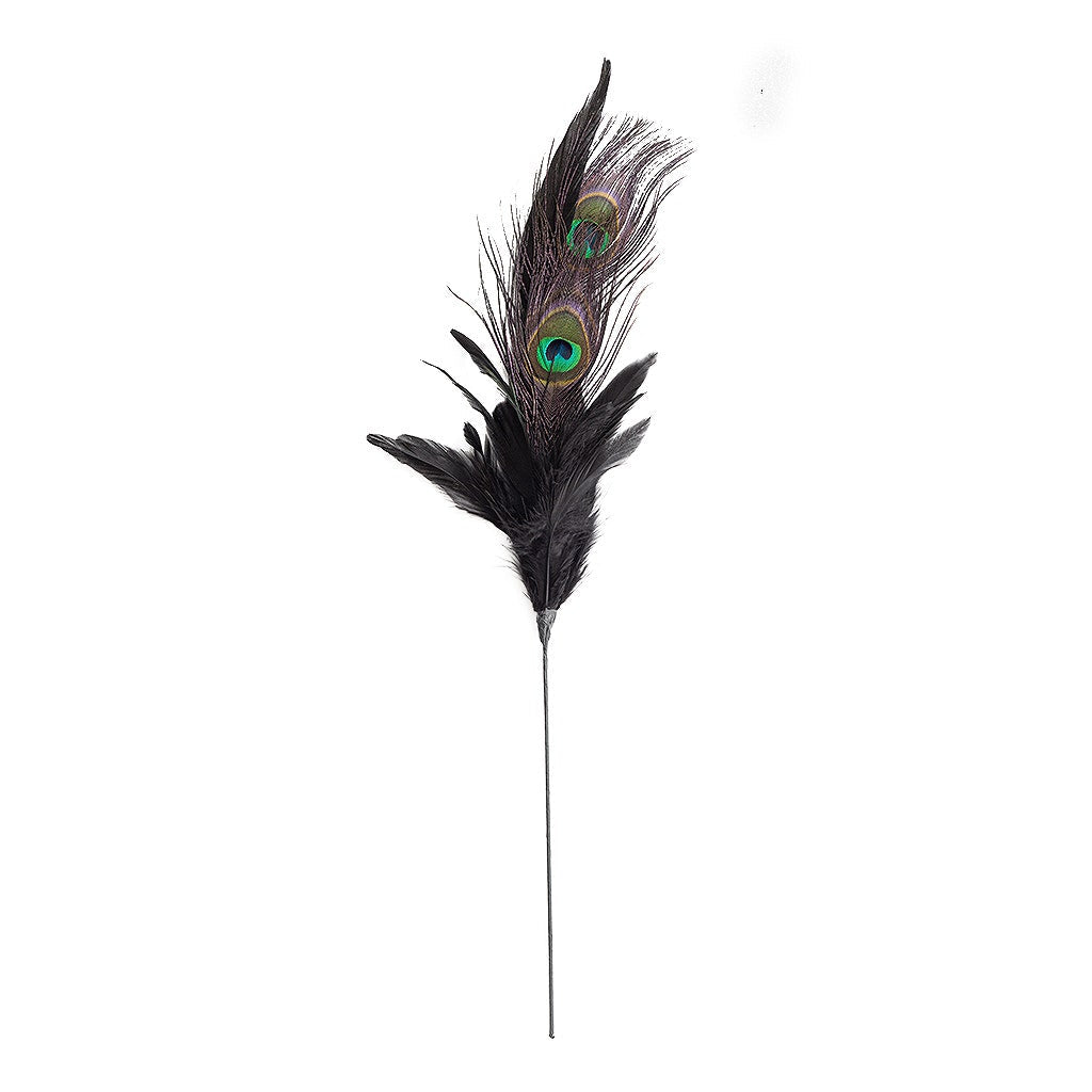 Peacock Pheasant Feather Floral Stem - Black