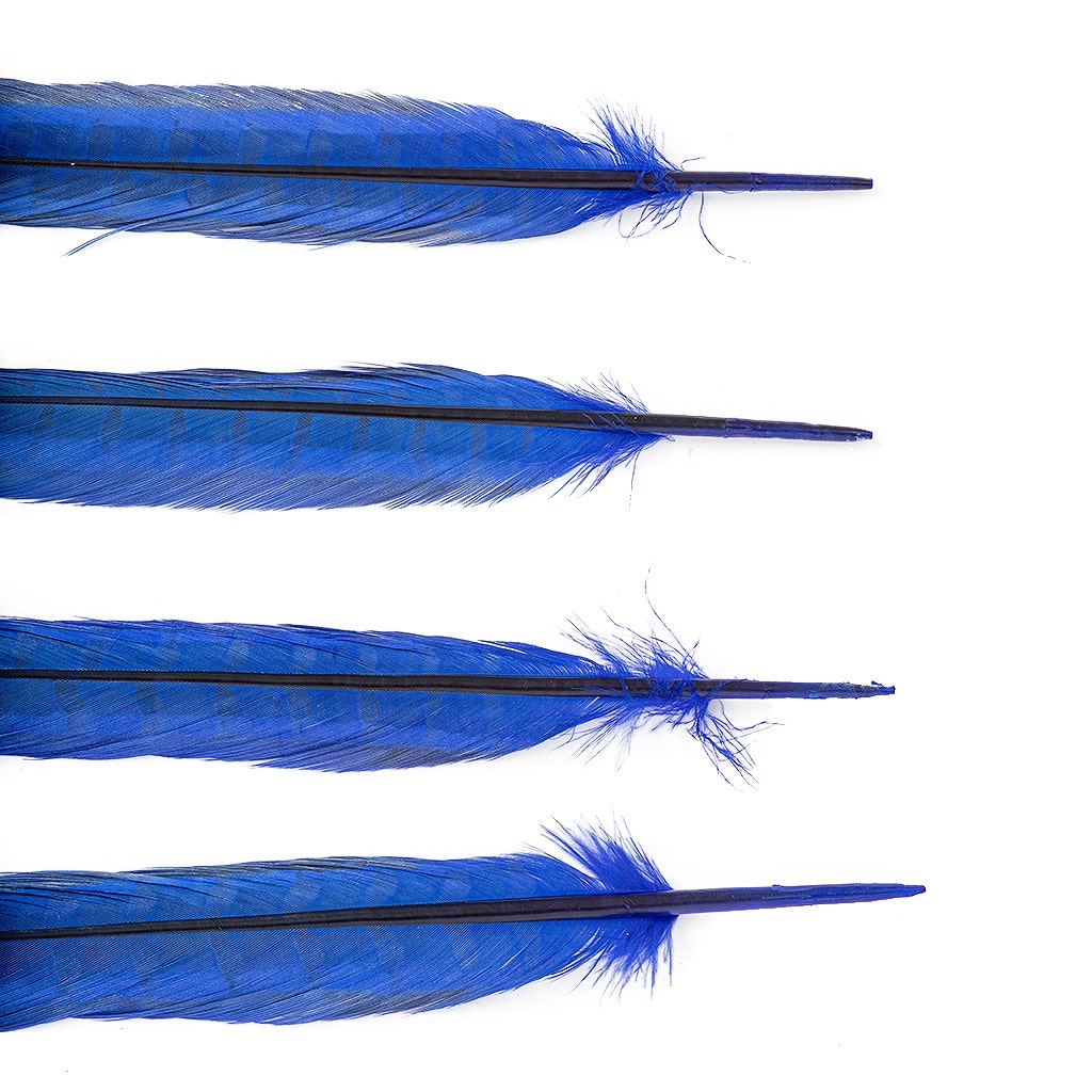 Ringneck Pheasant Tails Bleached/Dyed & Tipped Royal Blue / Lime Green - 20-24 Inch - 5 PCS