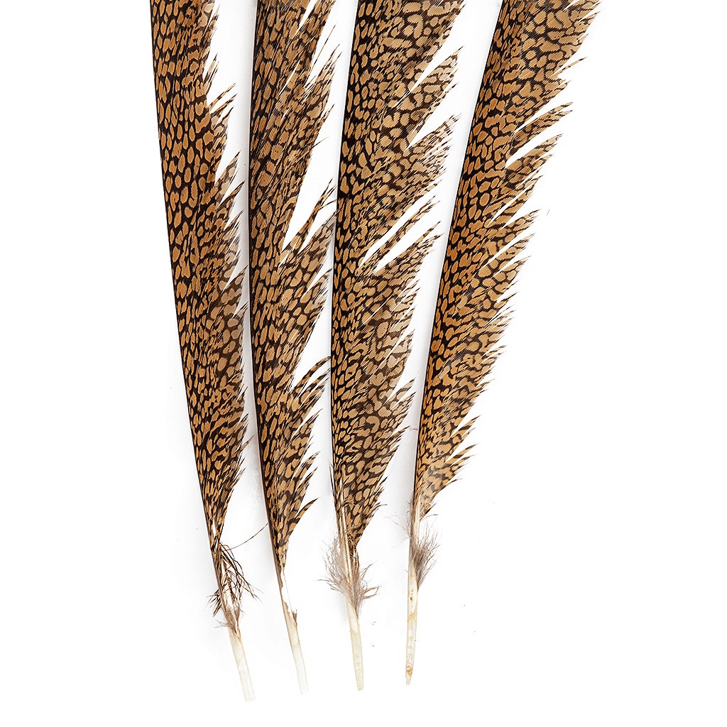 Natural Golden Pheasant Tail Center Feathers, 20 inches & up, 100 pieces, 1st Quality Feathers