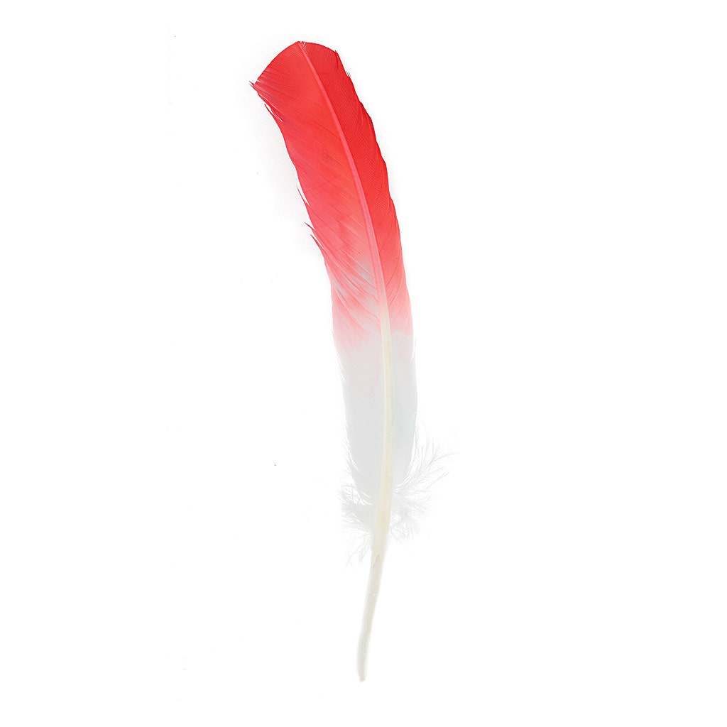 Bulk Two Tone Ombre Tipped Turkey Round Feathers Left Wing - 10-12” - 1/4 lb - Coral/White
