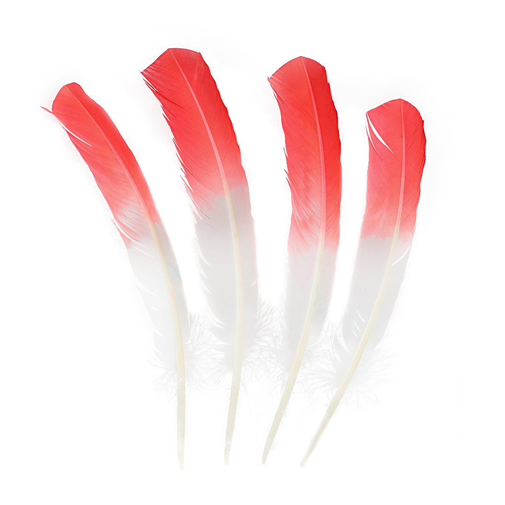 Bulk Two Tone Ombre Tipped Turkey Round Feathers Left Wing - 10-12” - 1/4 lb - Coral/White