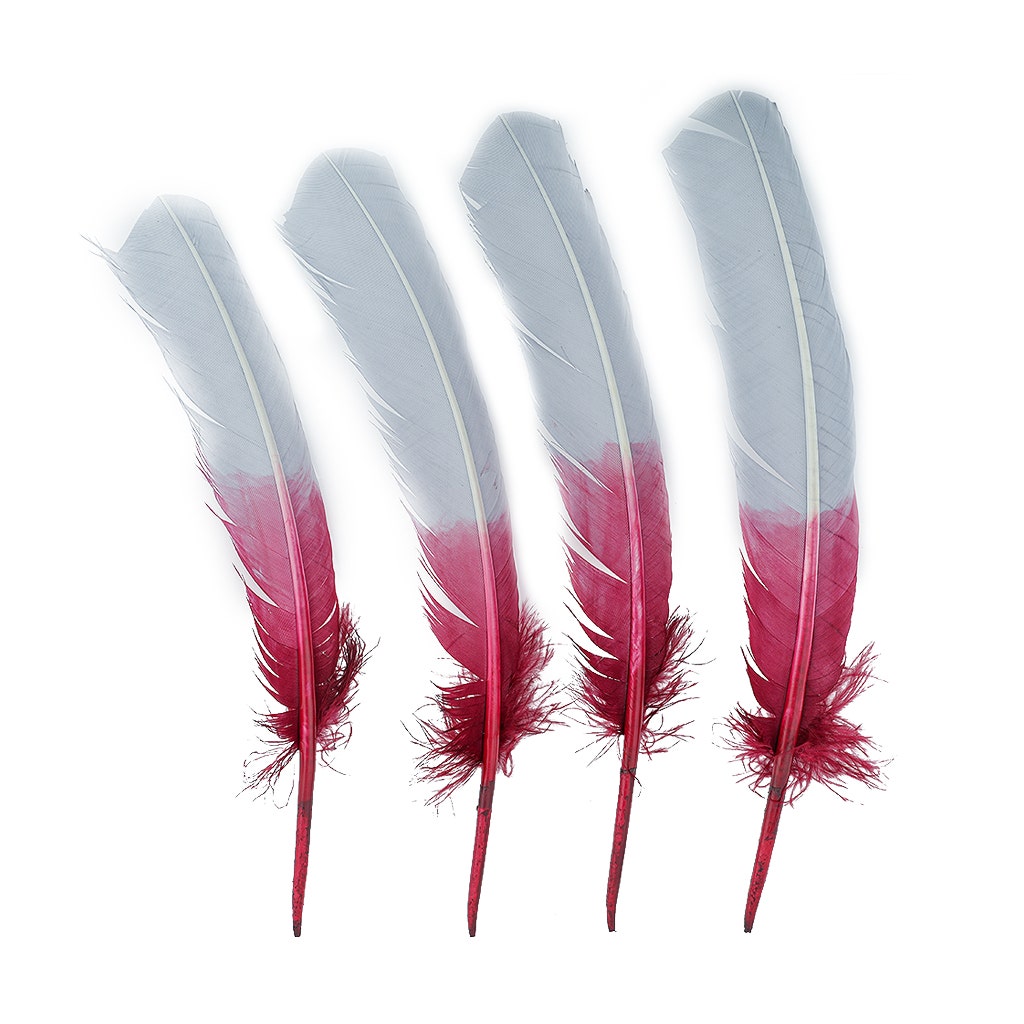Bulk Two Tone Ombre Tipped Turkey Round Feathers Left Wing - 10-12” - 1/4 lb - Burgundy