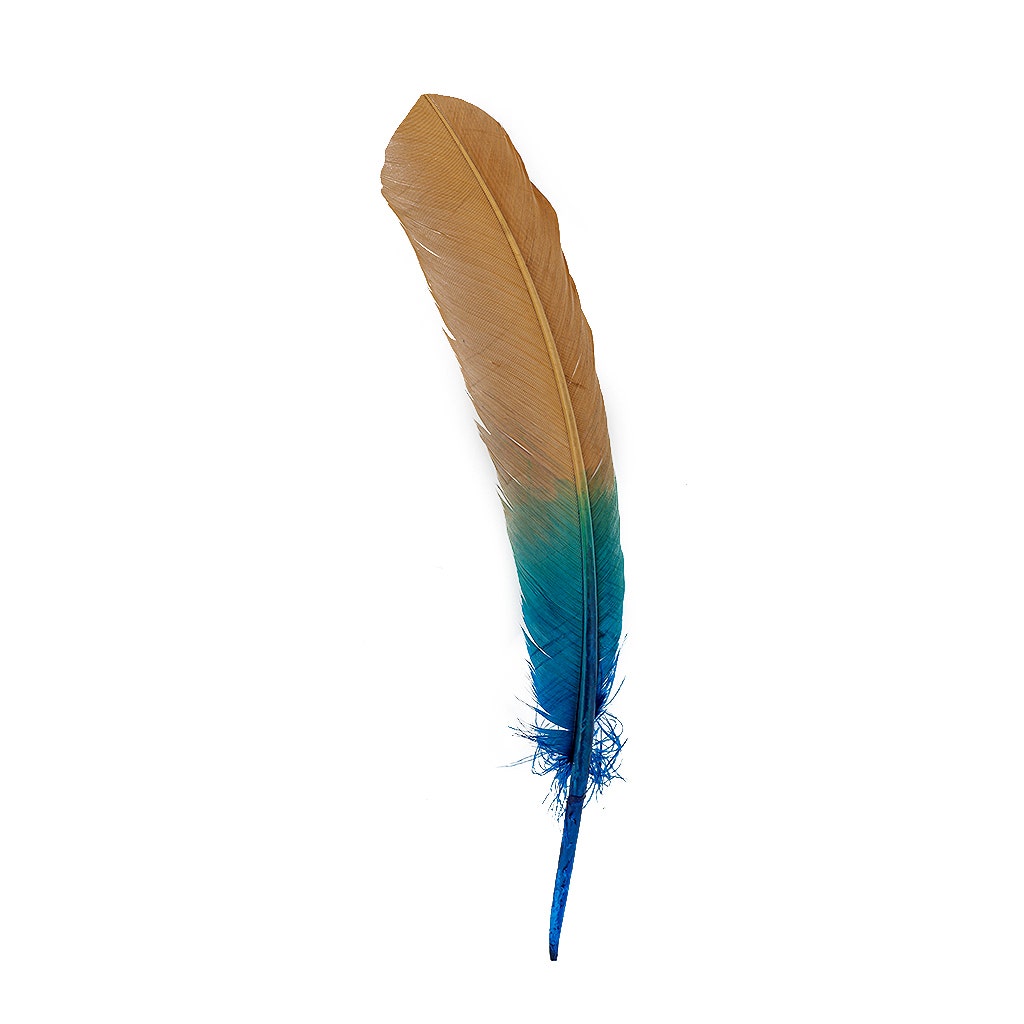 Bulk Two Tone Ombre Tipped Turkey Round Feathers Left Wing - 10-12” - 1/4 lb - Dark Turqouise/Camel