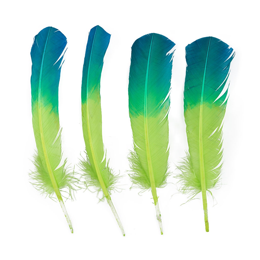 Ombre Turkey Quill Feathers 10-12" Dip .25 lb - Dark Turquiose/Lime
