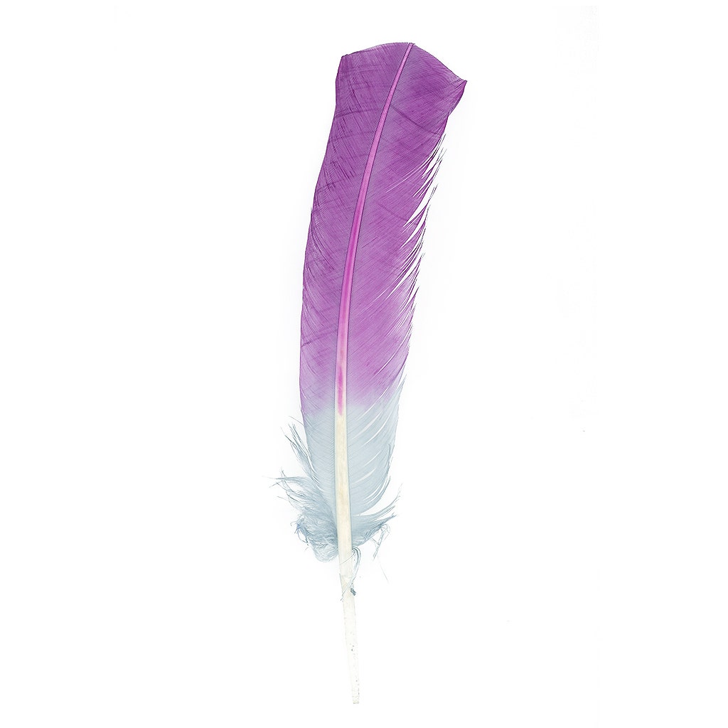 Ombre Turkey Quill 10-12" Left Wing Tip Silver .25 lb - Amethyst