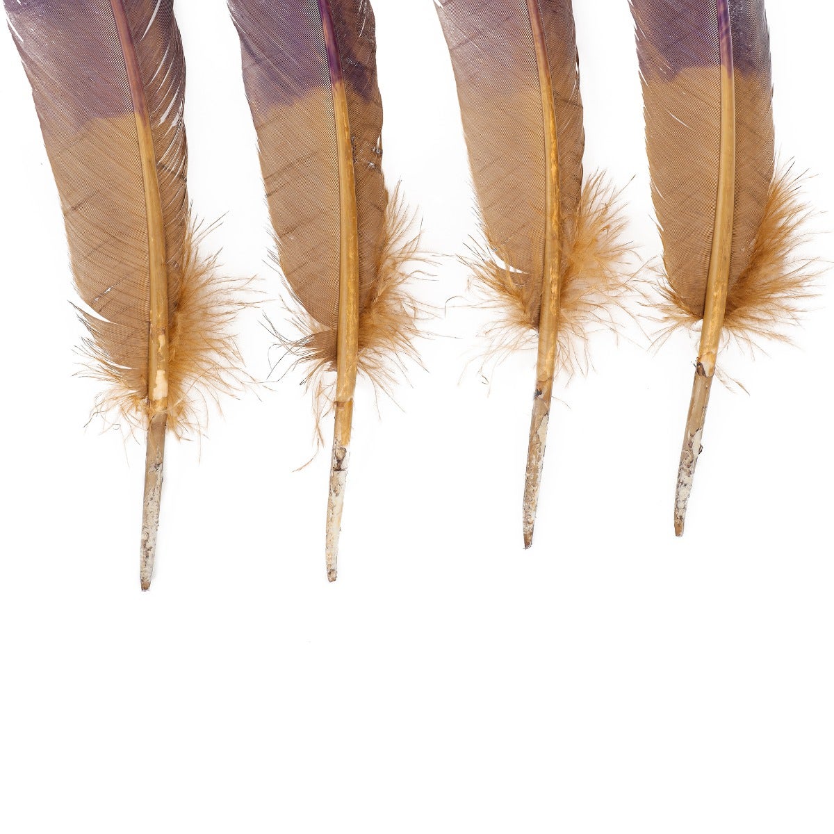 Bulk Two Tone Ombre Tipped Turkey Round Feathers Left Wing - 10-12” - 1/4 lb - Navy Camel