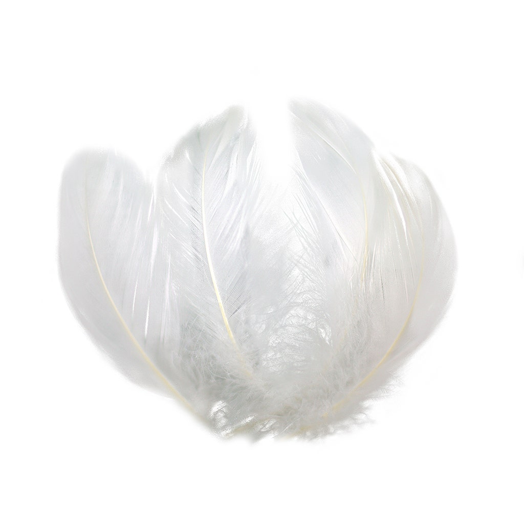 Loose Goose Coquille Dyed - White