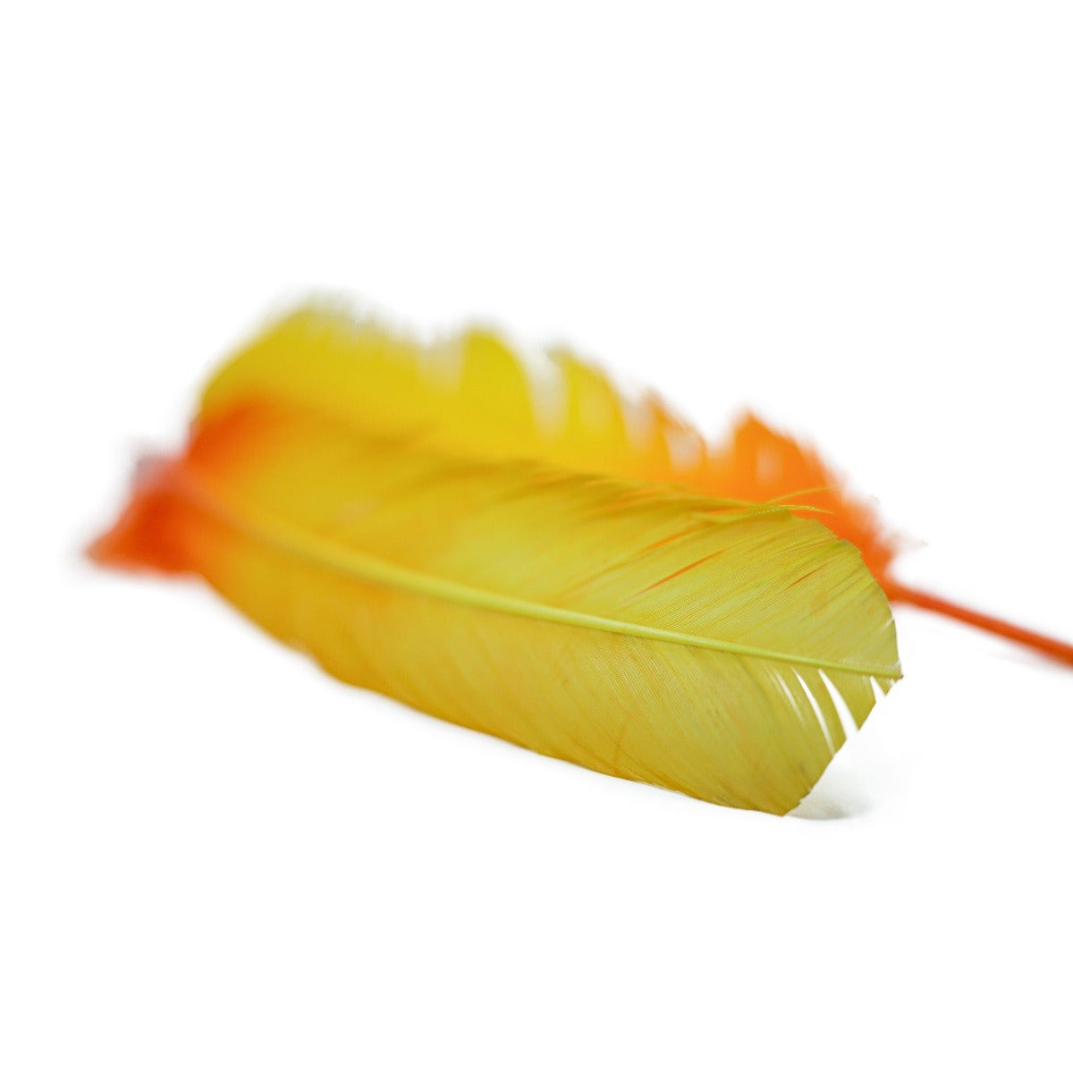 Ombré Turkey Quill Feathers 10-12” 2 pc- Gold - Orange