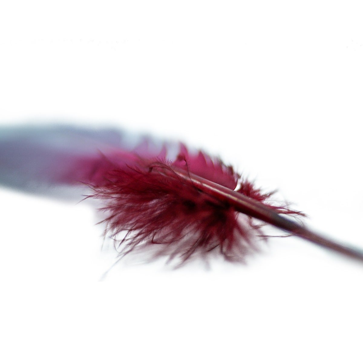 Ombré Turkey Quill Feathers 10-12” 2 pc- Burgundy - Silver